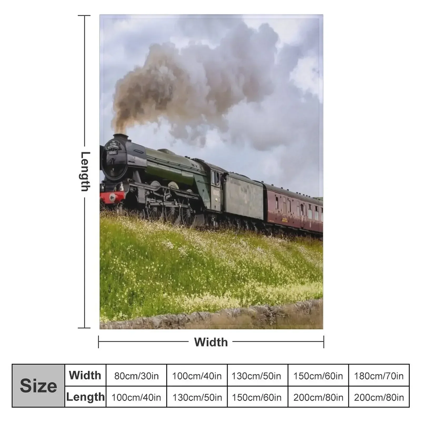 The Flying Scotsman in Yorkshi – 3D Printing Yorkshire Bewertung und Preis