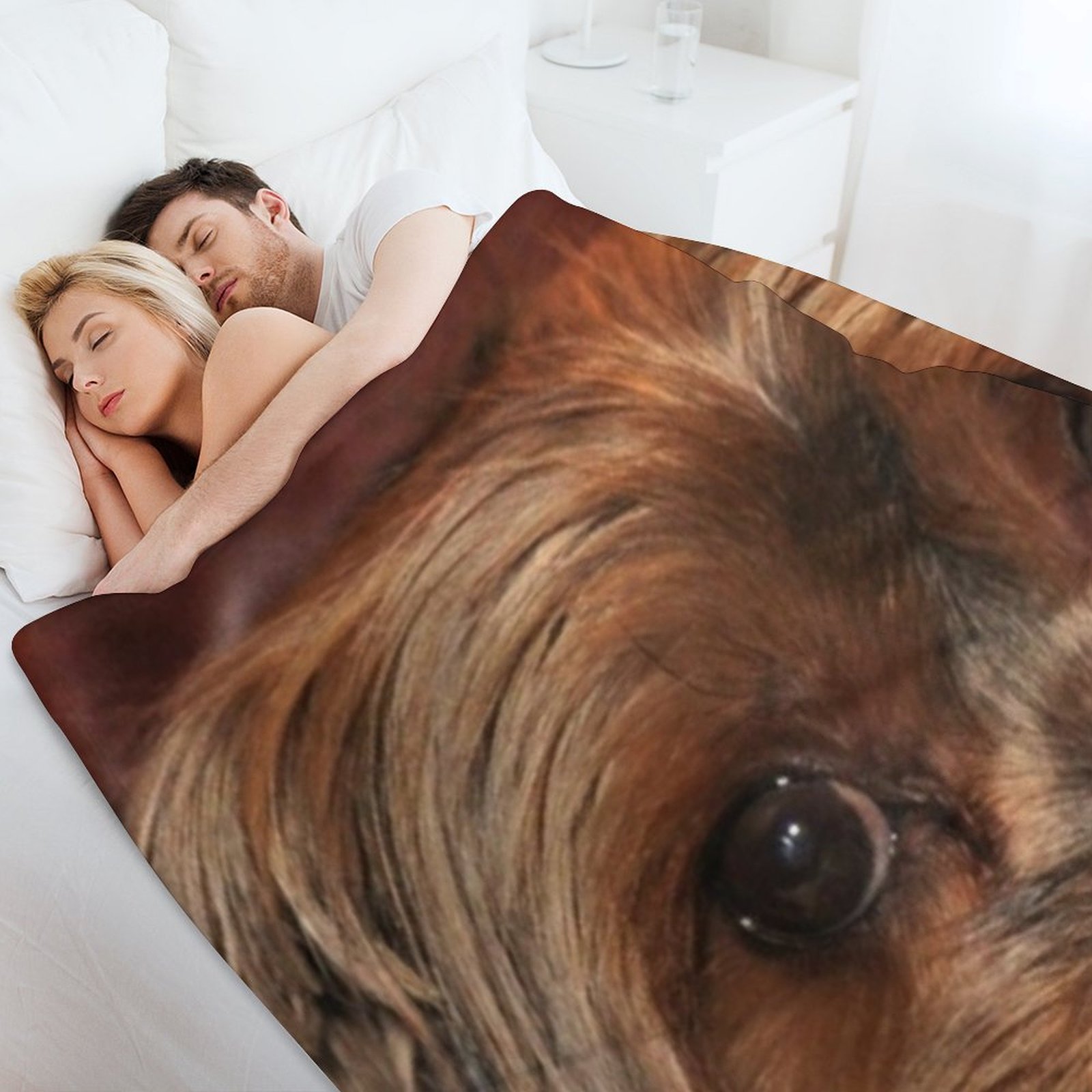Niedliche Yorkshire Terrier Yo – 3D Printing Yorkshire Bewertung und Preis