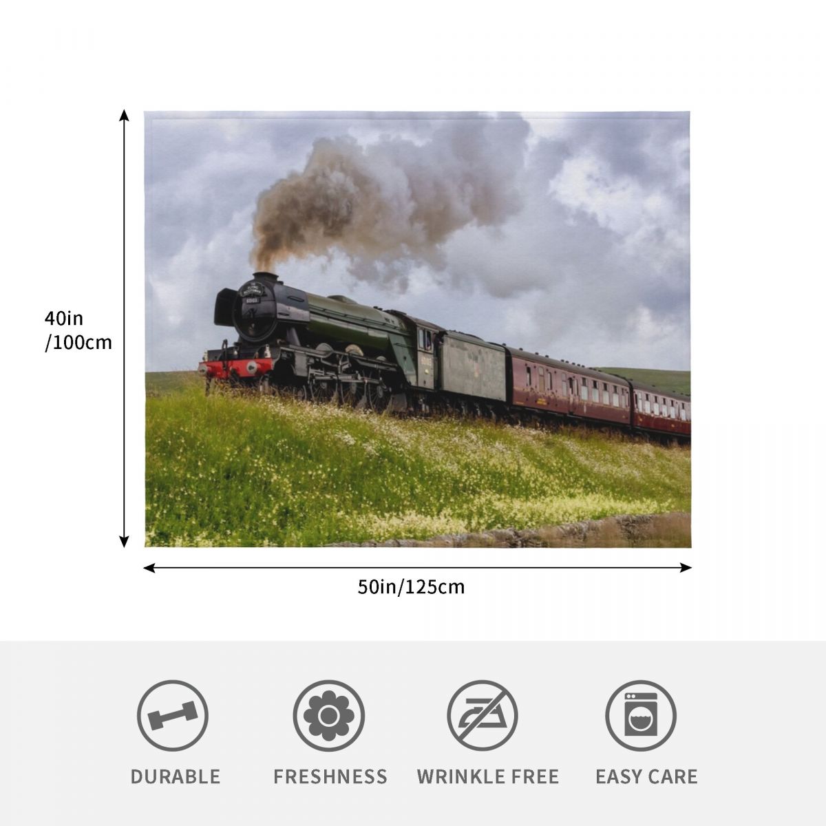 The Flying Scotsman in Yorkshi – 3D Printing Yorkshire Bewertung und Preis